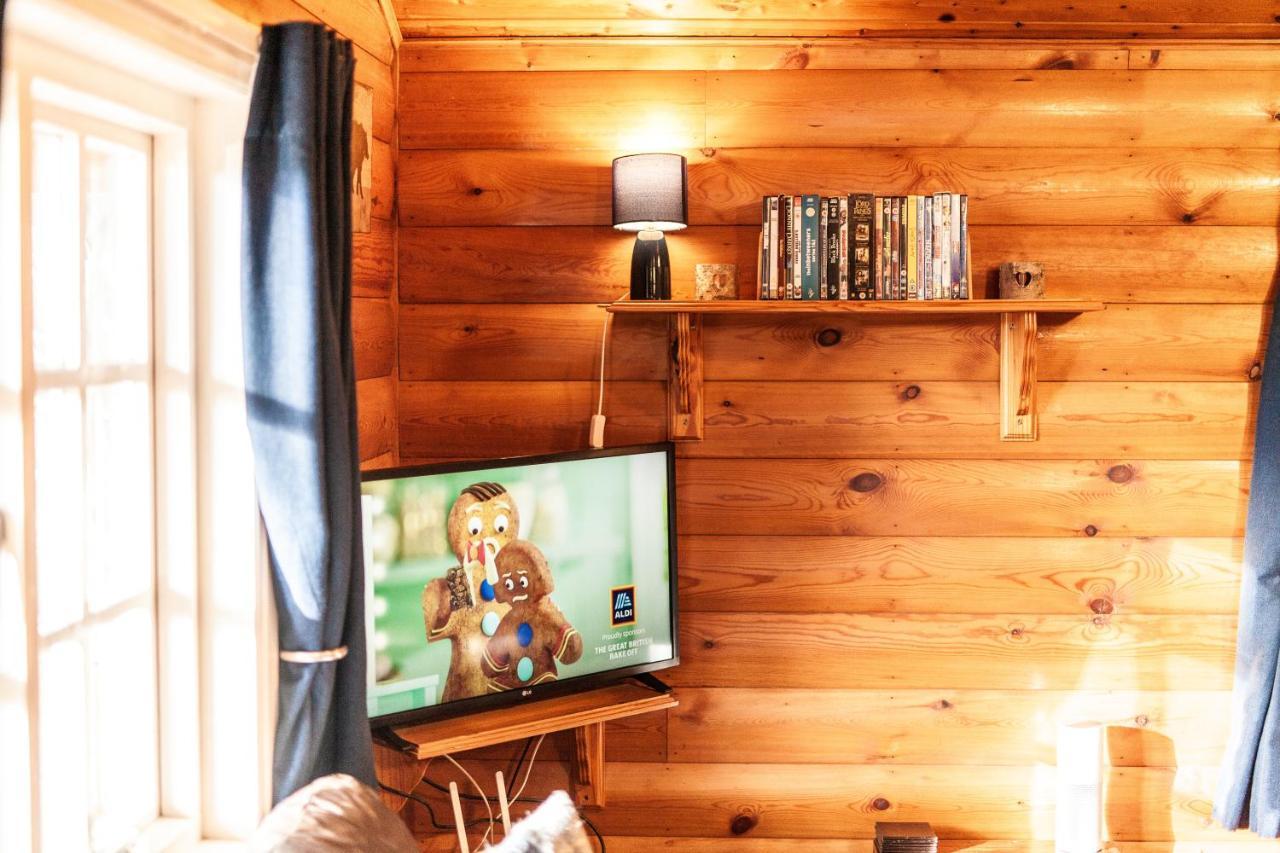 3 Bedroom Log Cabin In Snowdonia Nr Mtb Trails Tanygrisiau Exteriör bild