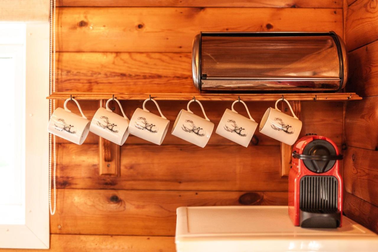 3 Bedroom Log Cabin In Snowdonia Nr Mtb Trails Tanygrisiau Exteriör bild