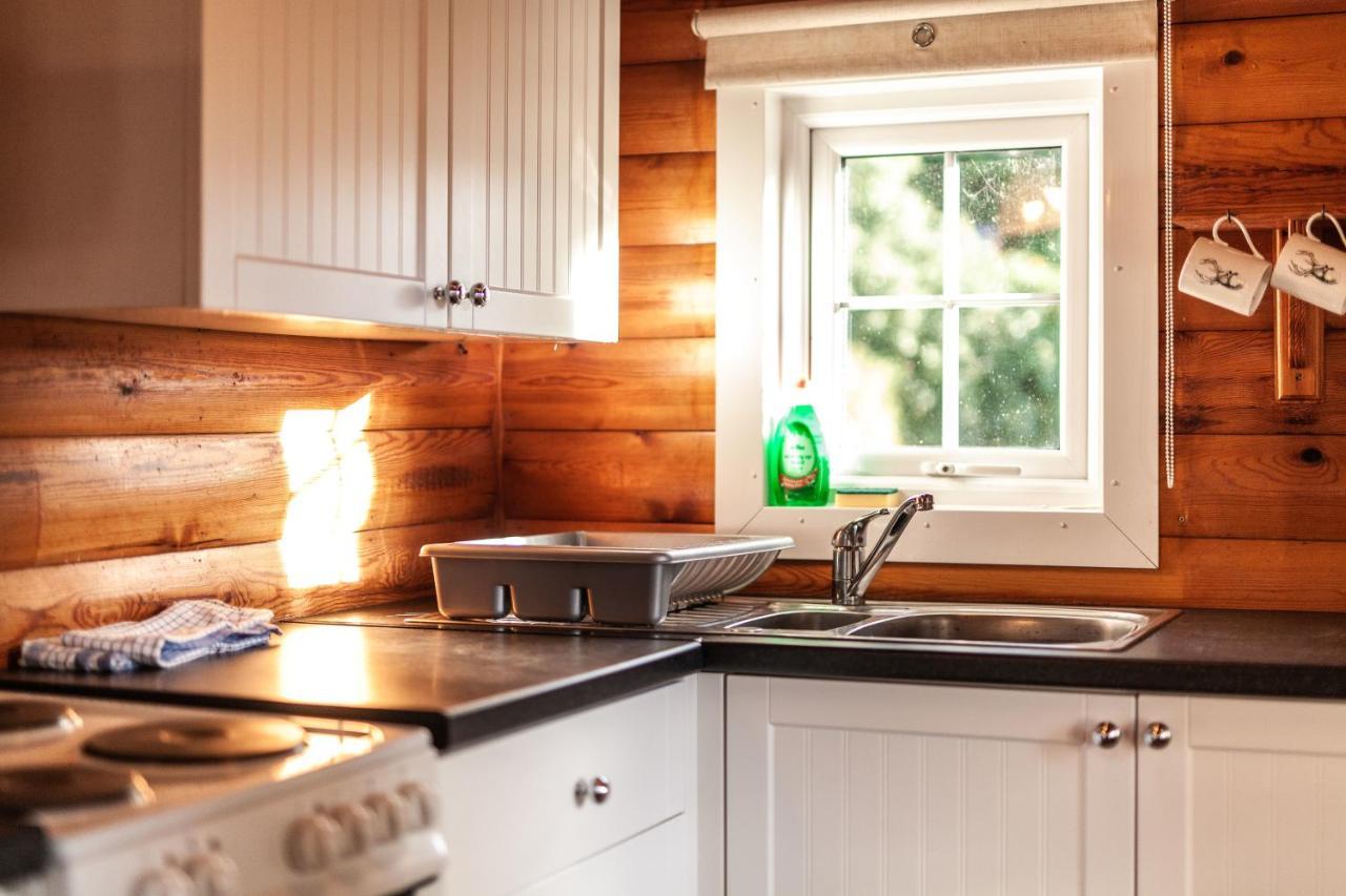 3 Bedroom Log Cabin In Snowdonia Nr Mtb Trails Tanygrisiau Exteriör bild