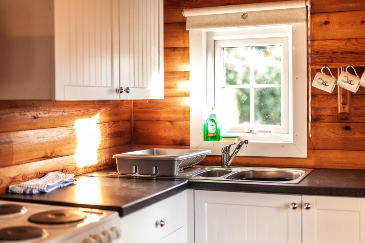 3 Bedroom Log Cabin In Snowdonia Nr Mtb Trails Tanygrisiau Exteriör bild