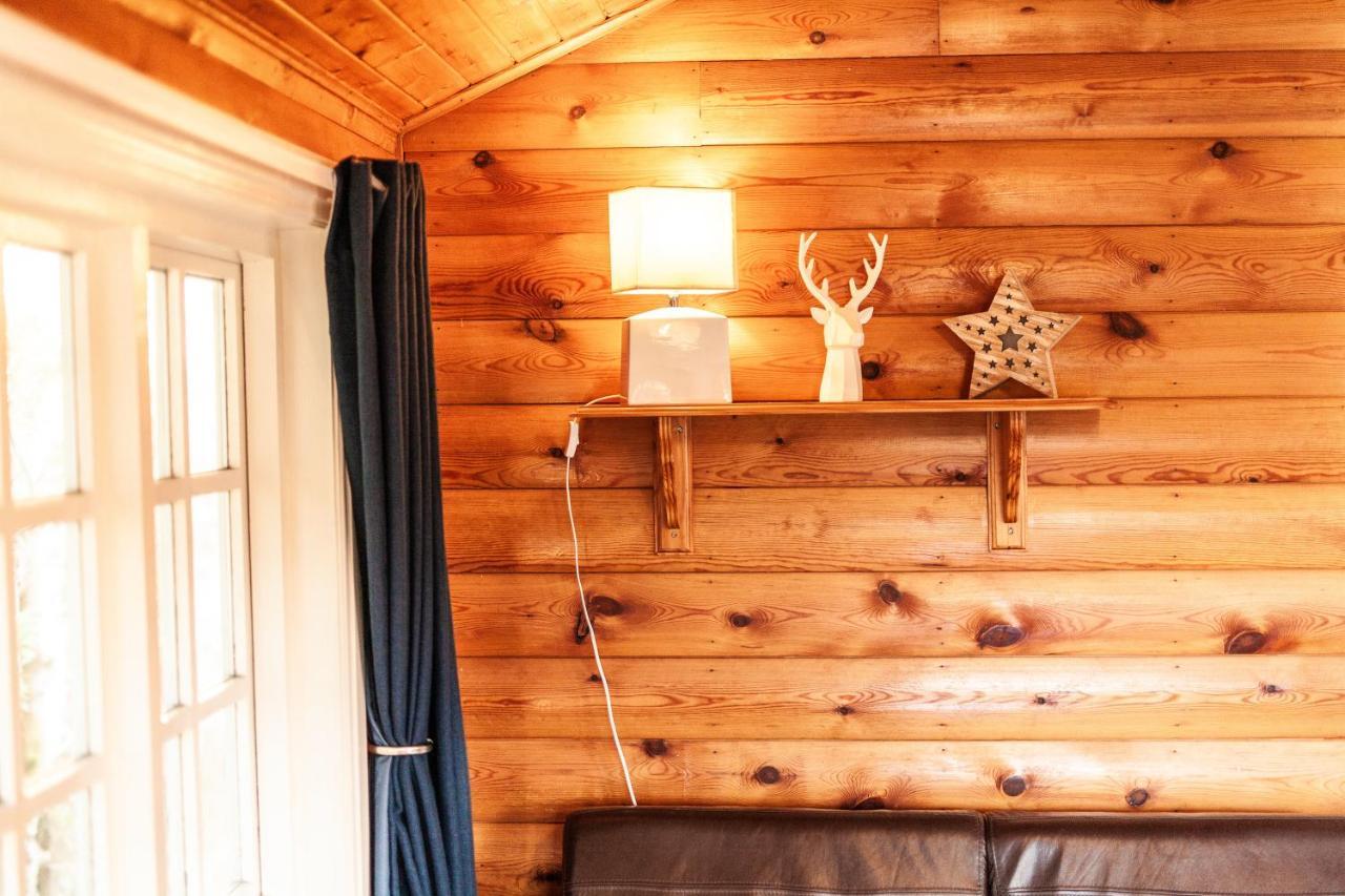 3 Bedroom Log Cabin In Snowdonia Nr Mtb Trails Tanygrisiau Exteriör bild